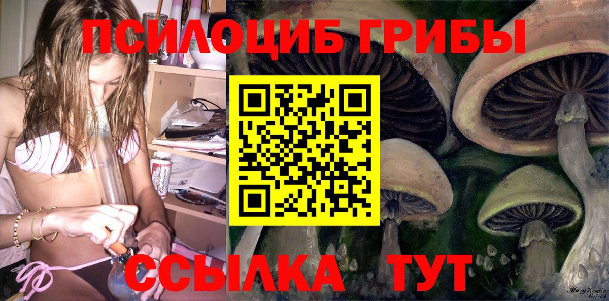 Артёмовский  Галлюциногенные грибы Psilocybine cubensis  Псилоцибиновые грибы Magic Shrooms  Вход с VPN 