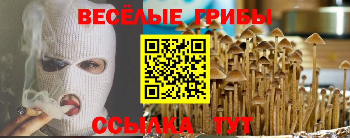 Псилоцибиновые грибы ЛСД Артёмовский